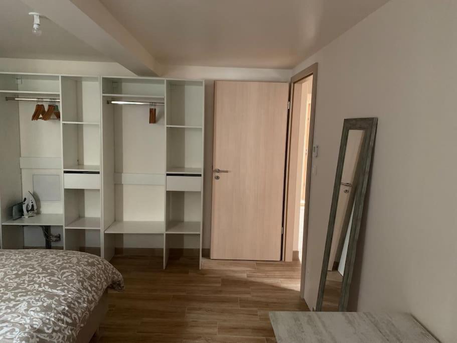 T3 Neuf - Maison Alsacienne Au Calme Avec Cour Privee