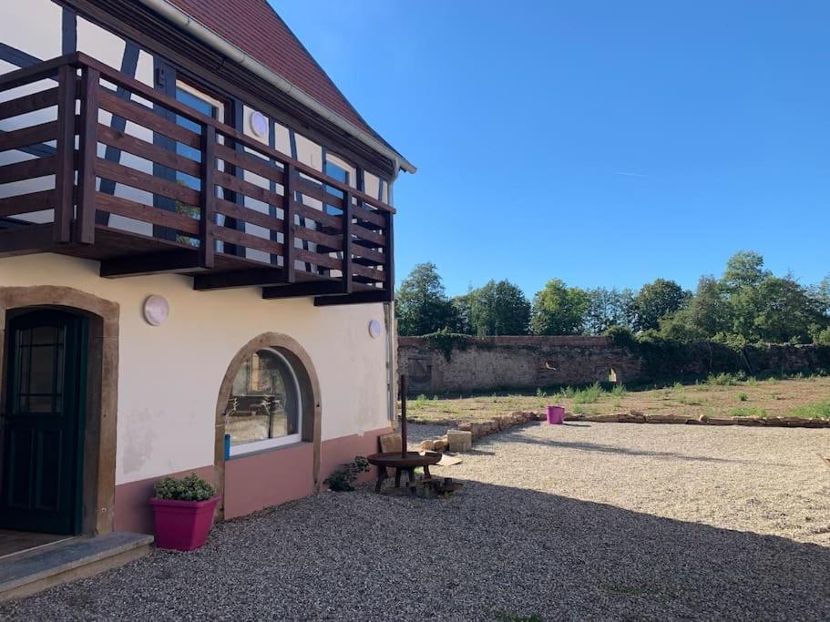 T3 Neuf - Maison Alsacienne Au Calme Avec Cour Privee Apartment *